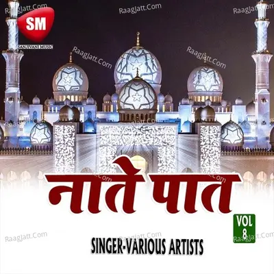 Naate Paat Vol-8 Poster
