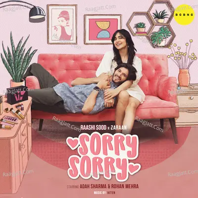 Sorry Sorry Cover