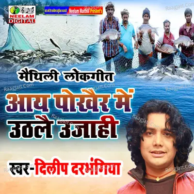 Dilip Darbhangiya Image