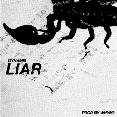 liar Cover