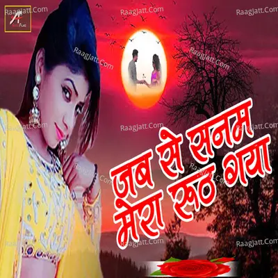 Jabse Sanam Mera Ruth Gaya Cover