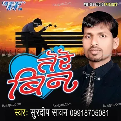 Tere Bin Poster