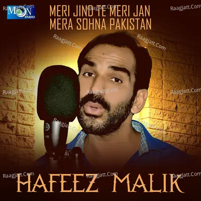Meri Jind Te Meri Jan Mera Sohna Pakistan Poster