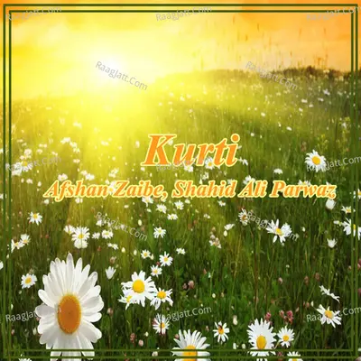 Kurti Poster