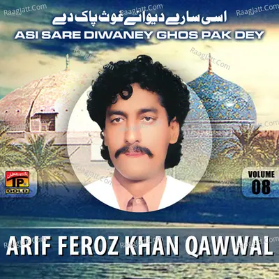 Asi Sare Diwaney Ghos Pak Dey, Vol. 8 Poster
