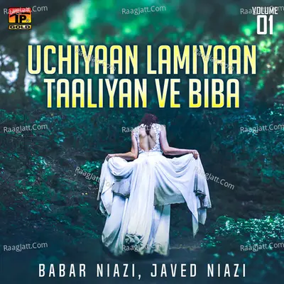 Uchiyaan Lamiyaan Taaliyan Ve Biba, Vol. 1 - Babar Niazi