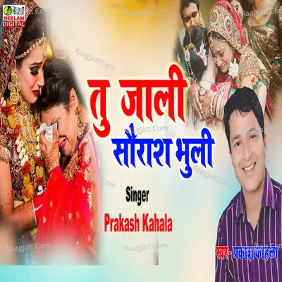 Tu Jali Saurash Bhuli Cover