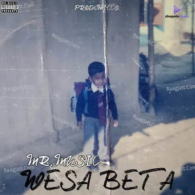 Wesa Beta Cover