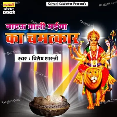 Nadau Wali Maiya Ke Chamatkar Poster