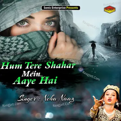 Hum Tere Shahar Mein Aaye Hai