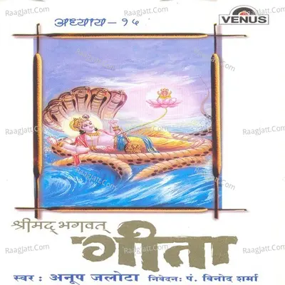 Shreemad Bhagwat Geeta- Vol- 15 - Anup Jalota