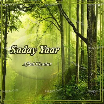 Saday Yaar - Afzal Chadar