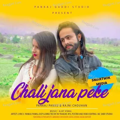 Chali Jana Peke Cover