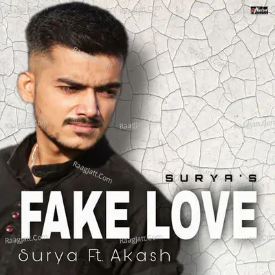 Fake Love Cover