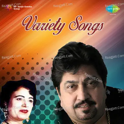 Punjabi Variety Songs Poster