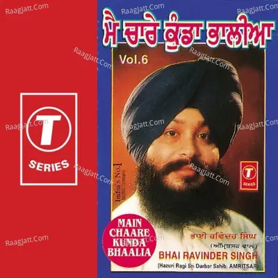 Main Chaare Kunda Bhaalia - Bhai Ravinder Singh