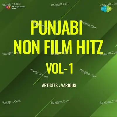 Punjabi Non - Film Hitz Vol - 1 Poster