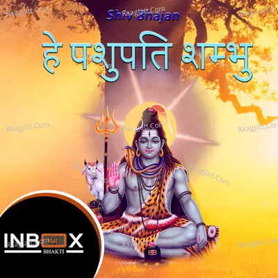 Hey Pashupati Shambhu Cover