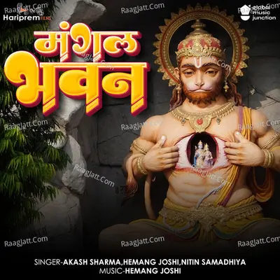 Hemang Joshi Image