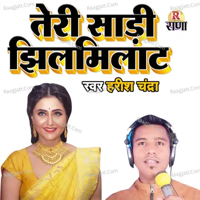 Teri Saree Jhilmilat Cover
