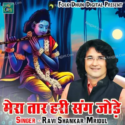 Ravi Shankar Mridul