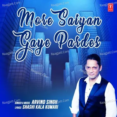 More Saiyan Gaye Pardes Cover