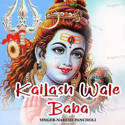 Kailash Wale Baba