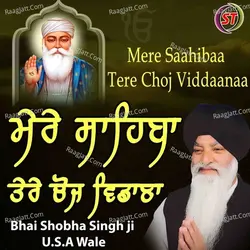 Mere Saahibaa Tere Choj Viddaanaa.