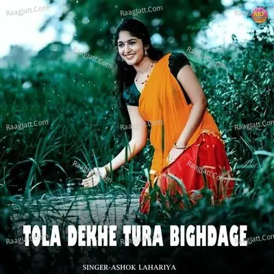 Tola Dekhe Tura Bighdage