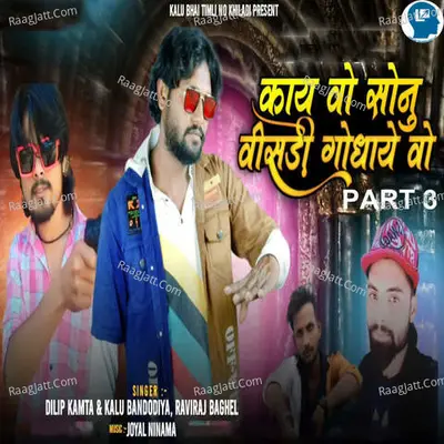 Kay Vo Sonu Visadi Godhaye Vo Part 3 Cover