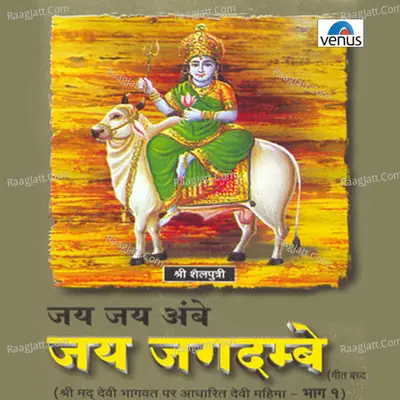 Jai Jai Ambe Jai Jagdambe - 1 - Narendra Chanchal
