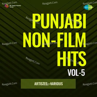 Punjabi Non - Film Hits Vol - 5 Cover