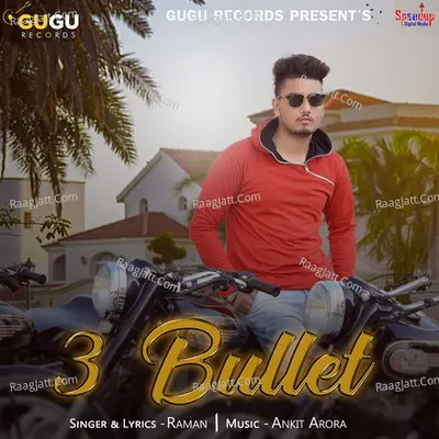 3 Bullet Cover