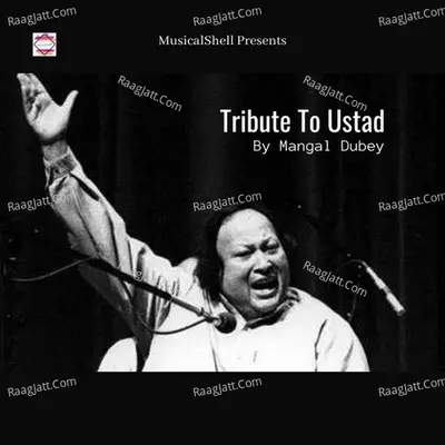 TRIBUTE TO USTAD Cover
