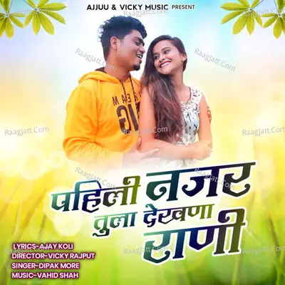 Pahili Najar Tula Dekhna Rani Cover