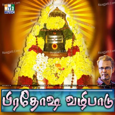 Pirathosa Valipaadu - Srinivasan