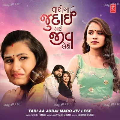 Tari Aa Judai Maro Jiv Lese Cover