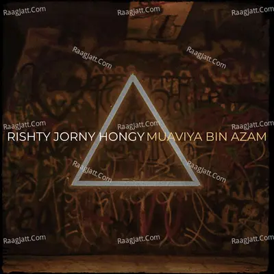 Muaviya Bin Azam Image