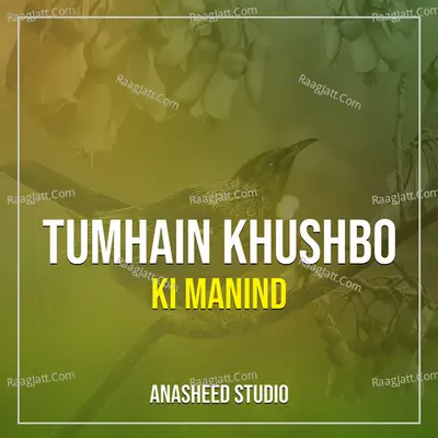 Tumhain Khushbo Ki Manind Cover