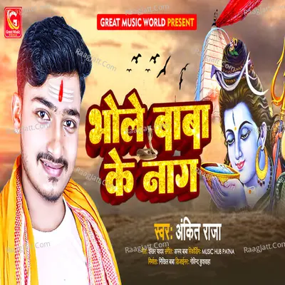 Ankit Raj Image