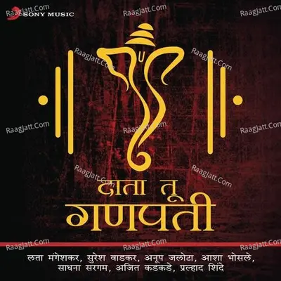 Data Tu Ganpati Poster