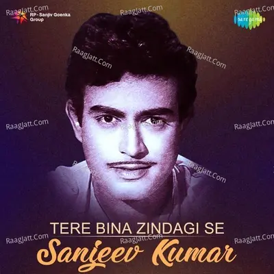 Tere Bina Zindagi Se - Sanjeev Kumar Hits - Various Artists
