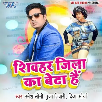 Shivhar Jila Ka Beta Hain Poster