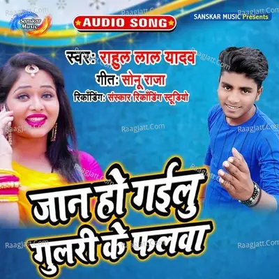 Jaan Ho Gayil Gulari Ke Phalwa Cover