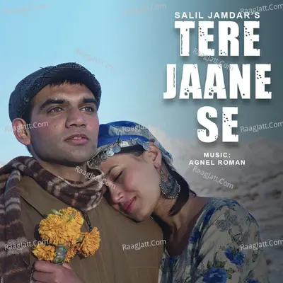 Tere Jaane Se Cover