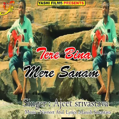 Tere Bina Mere Sanam Cover