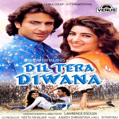 Dil Tera Deewana Poster