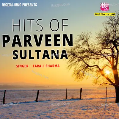 Hits Of Parveen Sultana Cover