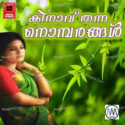 Kinavu Thanna Nombarangal Poster
