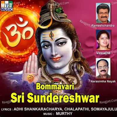Bommavari Sri Sundereshwar Poster